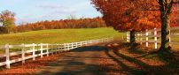 Country path - Wonderful Autumn season