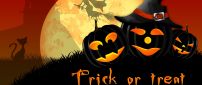 Trick or Treat - dark pumpkins and witch on the sky