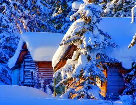Wood cottage full with snow - wonderful winter season