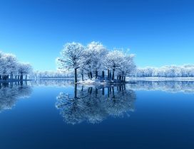 Small island full with frozen trees - Mirror in the lake