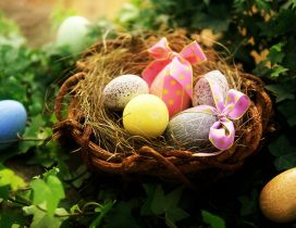 Easter basket full with coloured eggs with ribbon