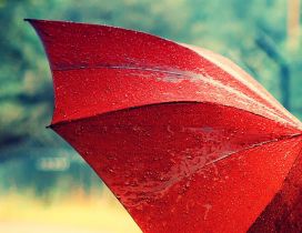 Macro red umbrella in the rain - HD wallpaper