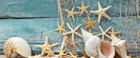 Seashells and starfish on the boat - Summer Holiday at sea