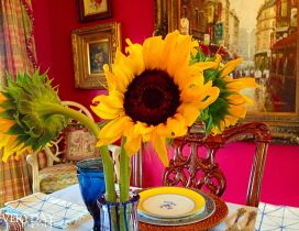 Three sunflowers in a vase in an old kitchen