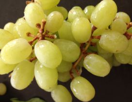 Macro Big white grape - Delicious fruit of Autumn season