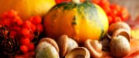 Acorns and pumpkins - Orange wallpaper Halloween night