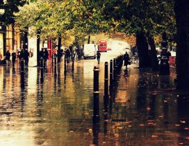Water on the street - Rainy Autumn day in the park