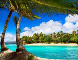 Relaxing place for a special summer holiday -Tropical island