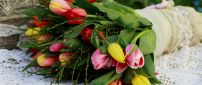 Wonderful spring flowers - Colorful tulips in a bouquet