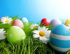 Painted eggs in grass and white flowers - Easter holiday
