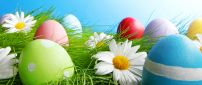 Painted eggs in grass and white flowers - Easter holiday