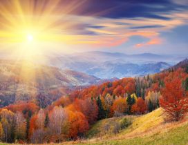 Sun is upon a wonderful Autumn day - Beautiful landscape