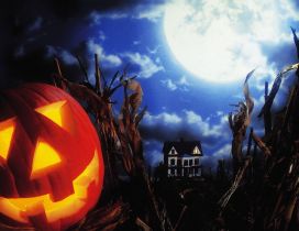 Big moon and scary Halloween pumpkin - HD wallpaper