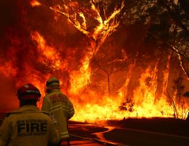 Firemen helps Australia from fire - HD wallpaper