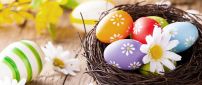 Bird basket full with Easter colourful eggs - Happy Holiday