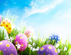Good morning wonderful spring Easter Holiday - Color eggs
