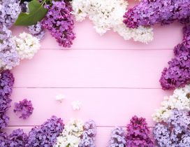 Wonderful photo frame made of beautiful spring Lilac flowers