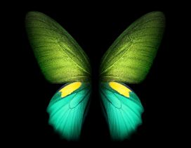 Wonderful fluorescent green butterfly - Smart phone photo