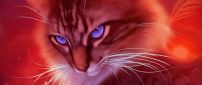 Blue cat eyes - Digital art design computer - Domestic cat