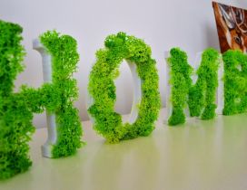 Home - Beautiful word made from lichens - Green moss picture