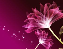 Two pink flowers - Beauty wallpaper digital art design