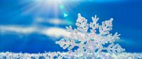 Perfect frozen snowflake in winter sunshine - HD wallpaper