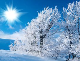Sunny winter day over the beautiful nature - Winter time