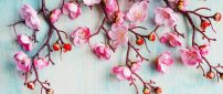 Cherry flowers artistic paint - HD spring season wallpaper