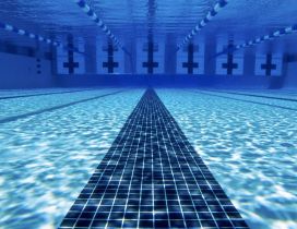 Swim time in the olimpic pool - HD wallpaper