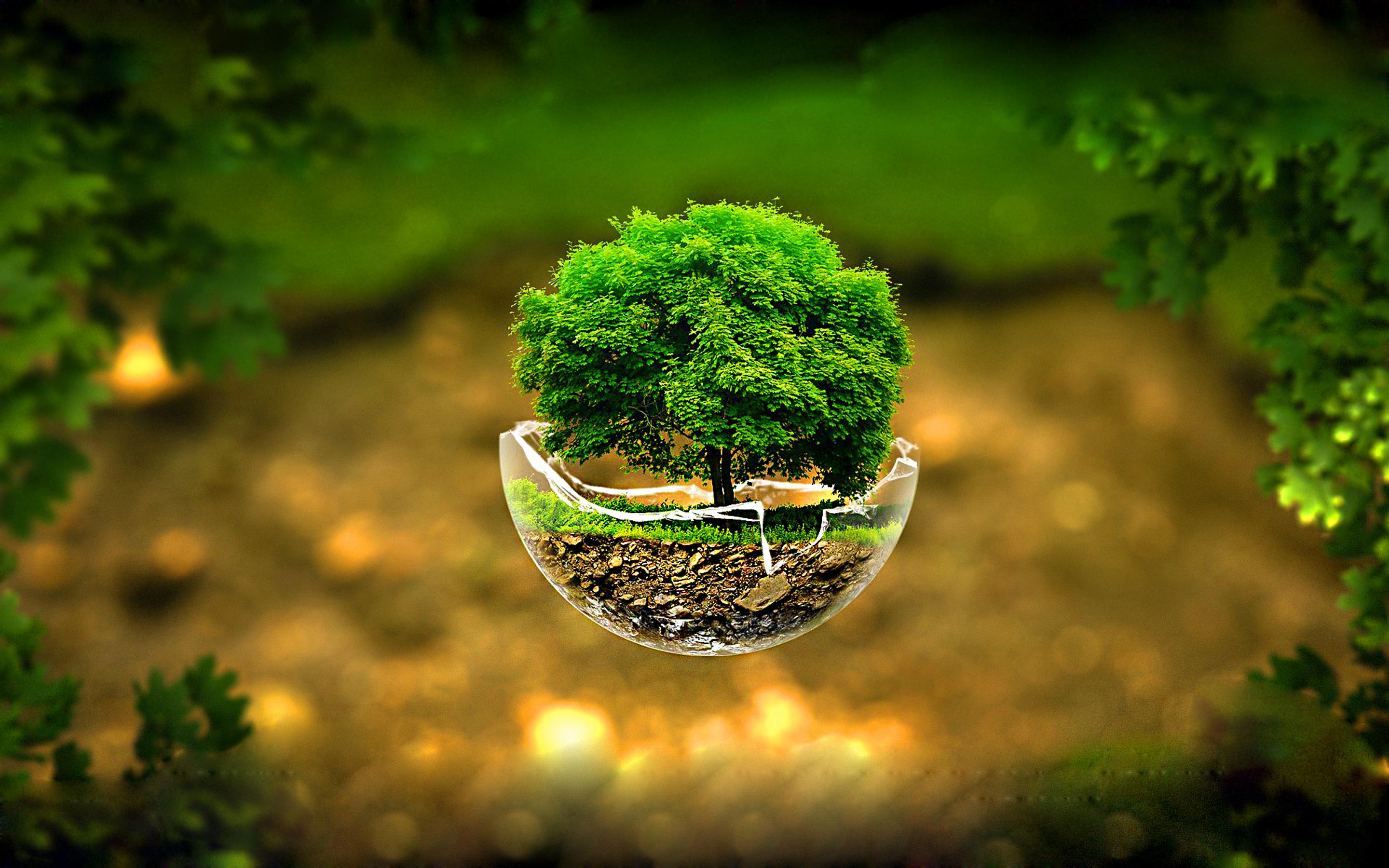 Small tree in a globe glass -Nature lives everywhere is love