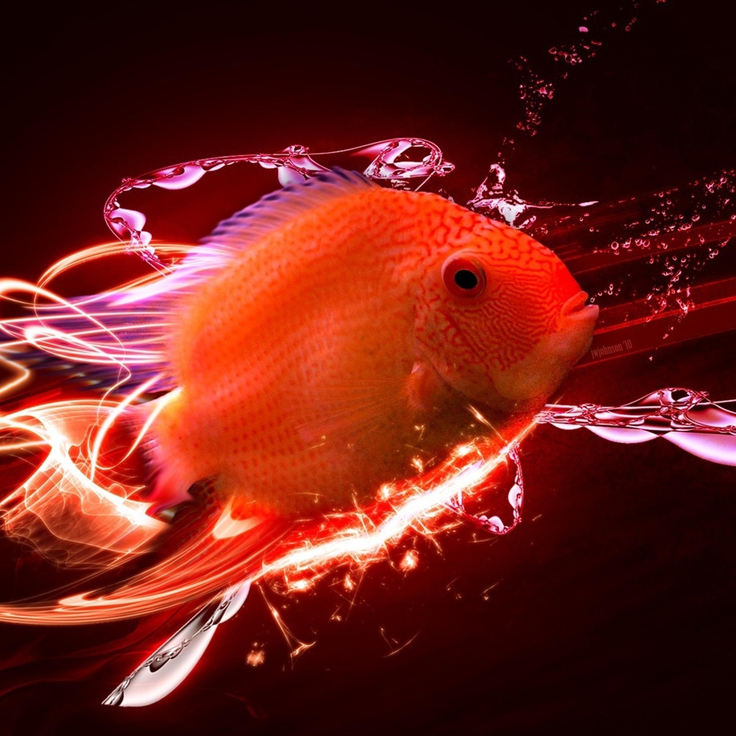 Abstract red fish in a HD wallpaper