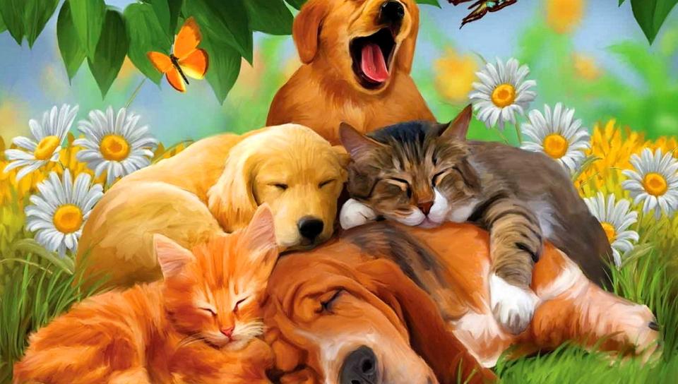Dogs and cats sleep in the garden between the flowers