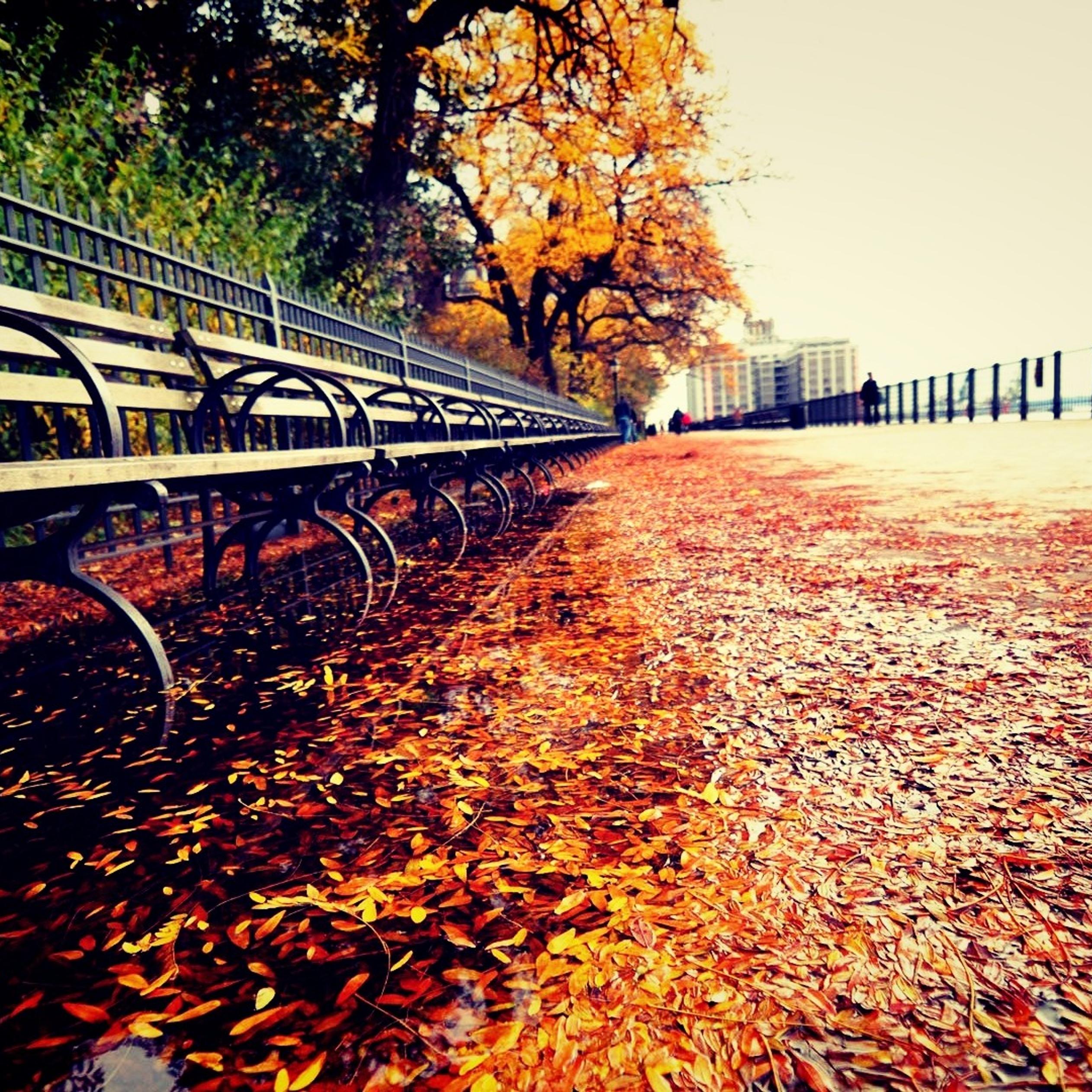 Path full with autumn leaves near the park - HD wallpaper
