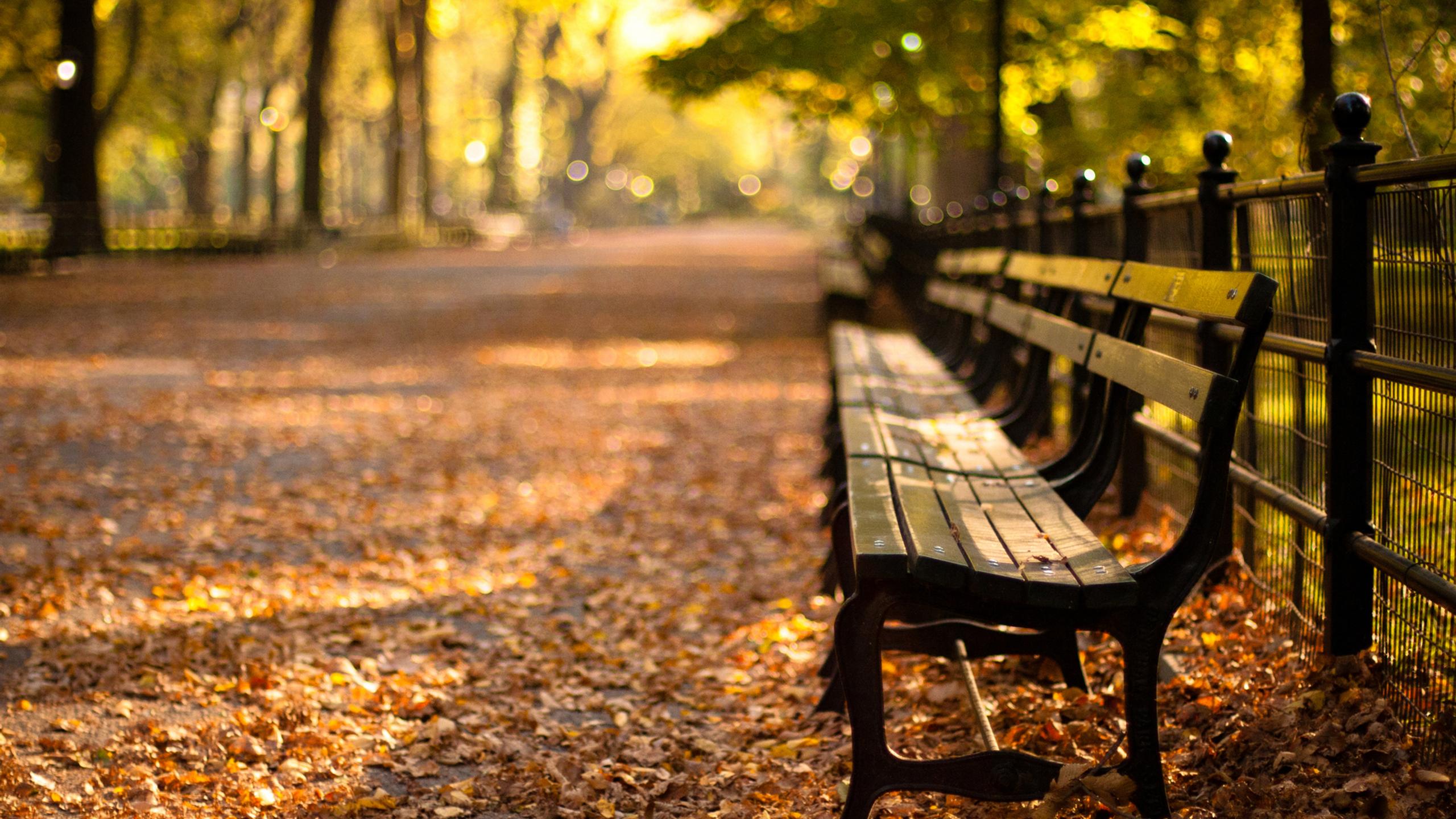 Relaxing time on a bench in the park - Autumn season
