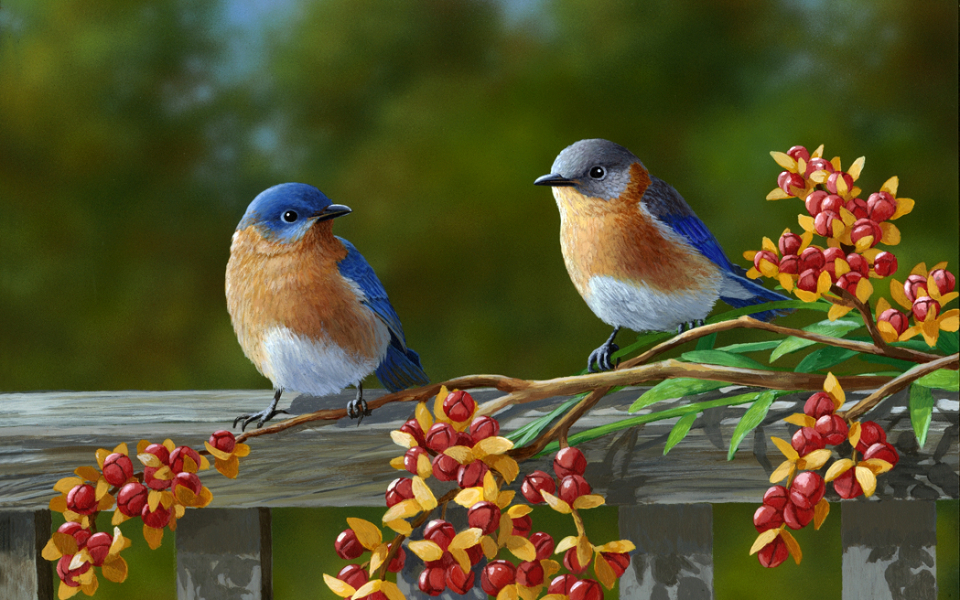 Two beautiful birds on a fence