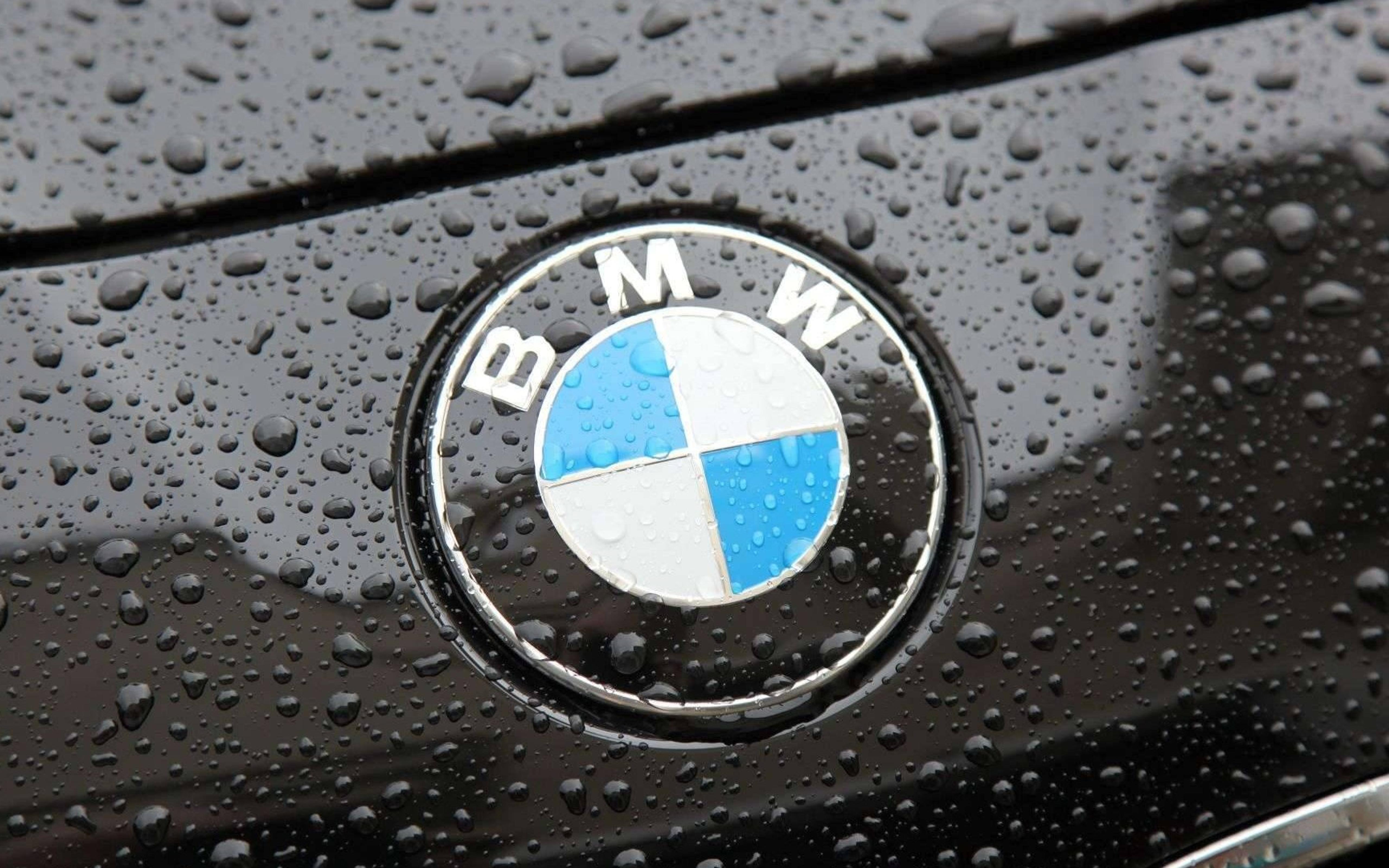 Download White BMW M With Logo Wallpaper  Wallpaperscom