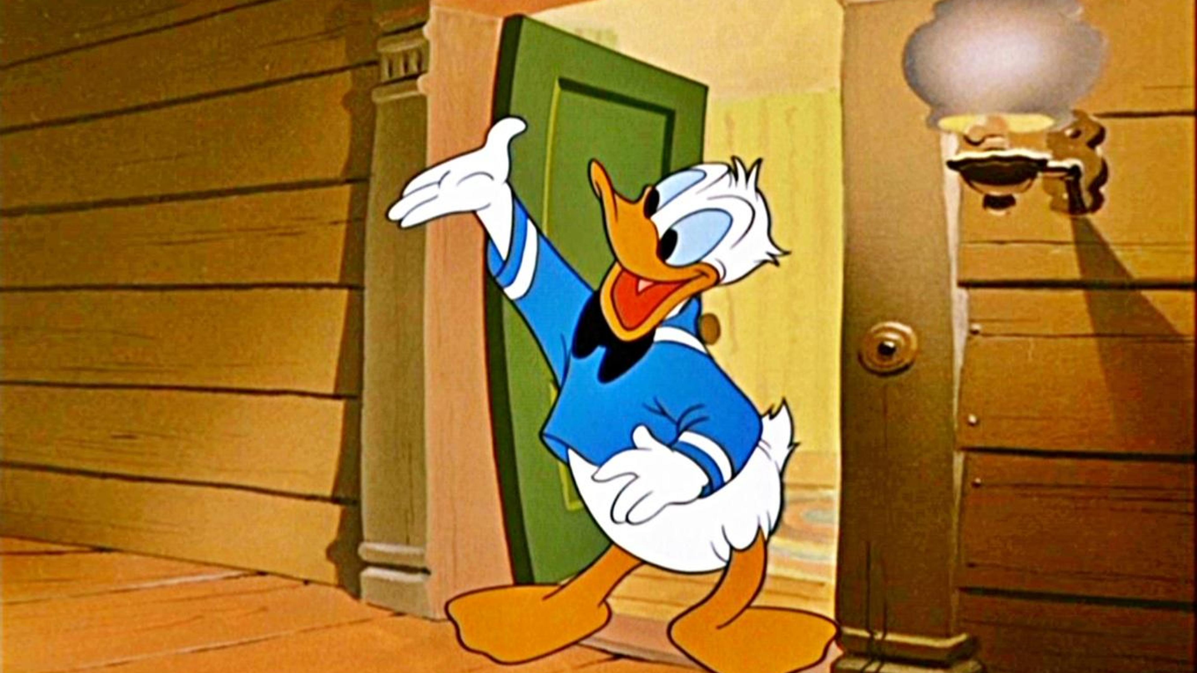 Donald Duck happy at the door - Cartoon wallpaper
