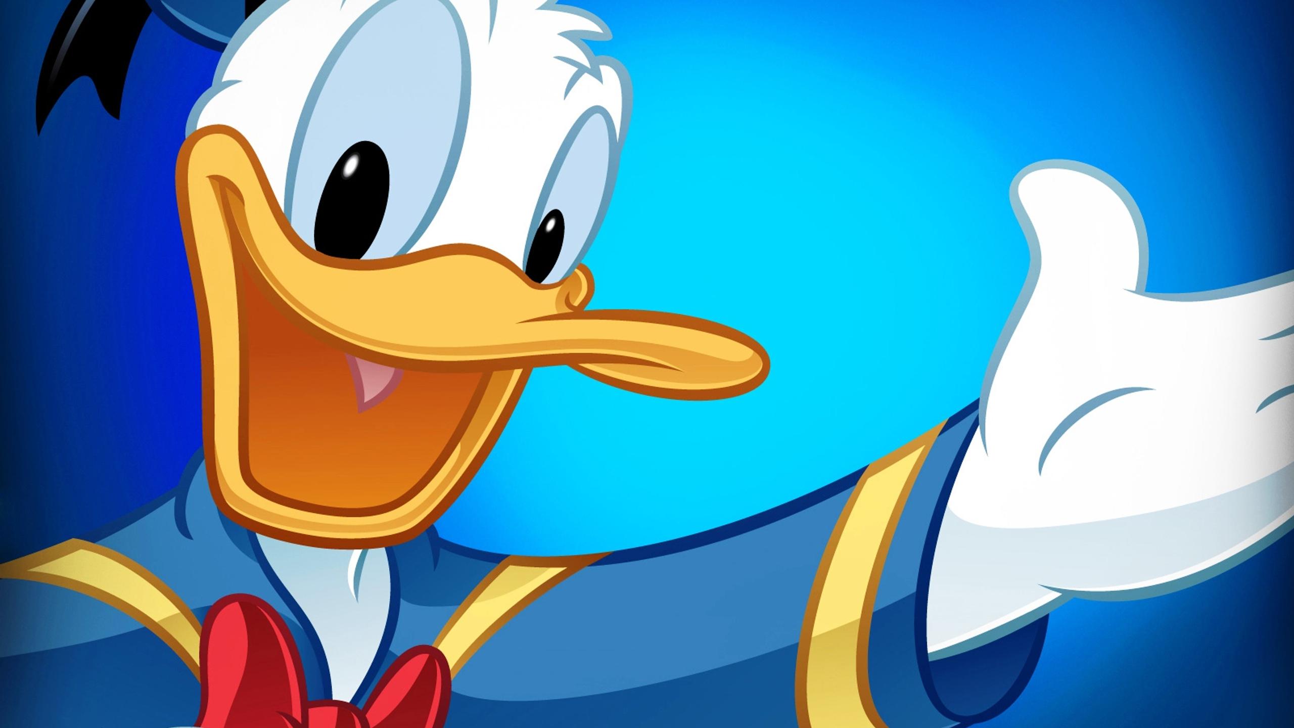 Donald Duck in blue - Cartoon wallpaper