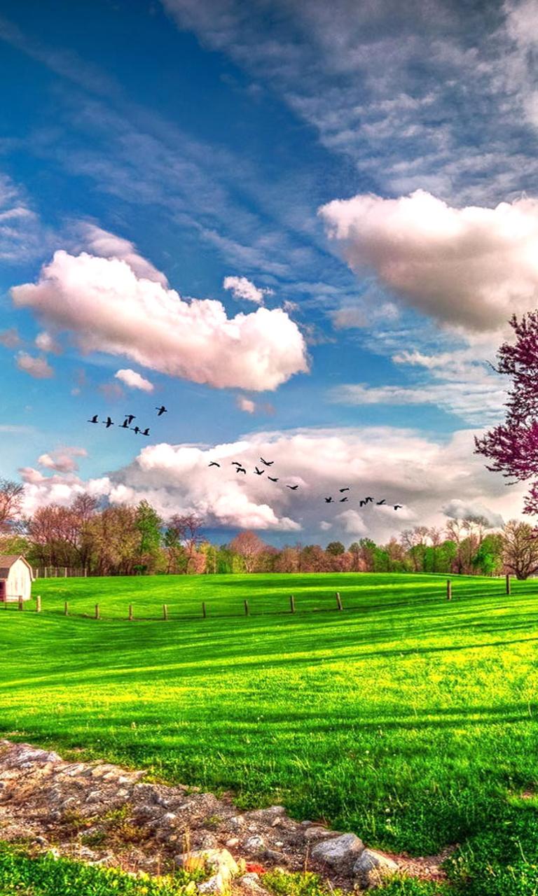 Landscape beautiful spring nature - HD wallpaper Wallpaper ...