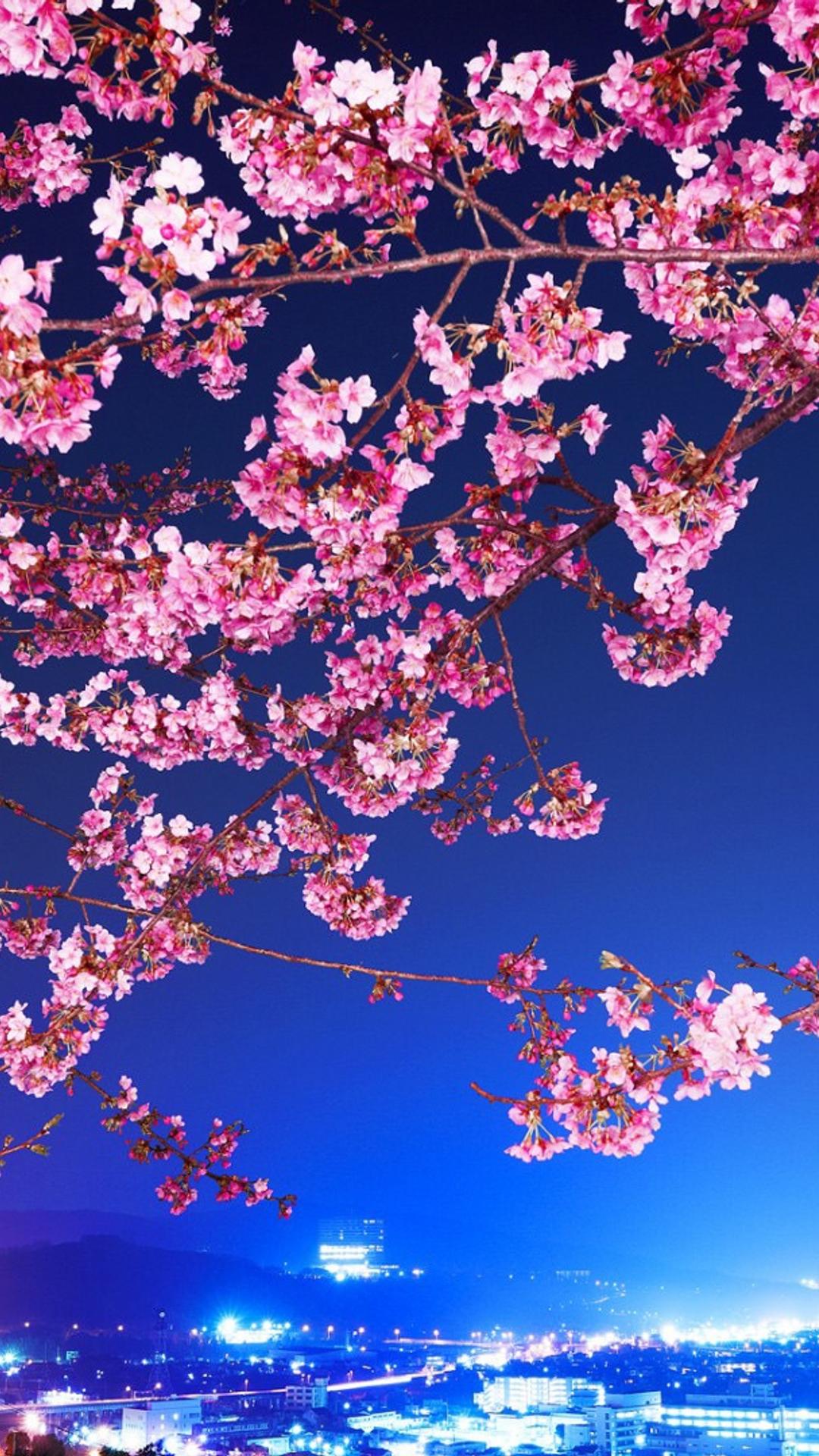 Pink flowers on branches - Cherry blossom Wallpaper Download 1080x1920
