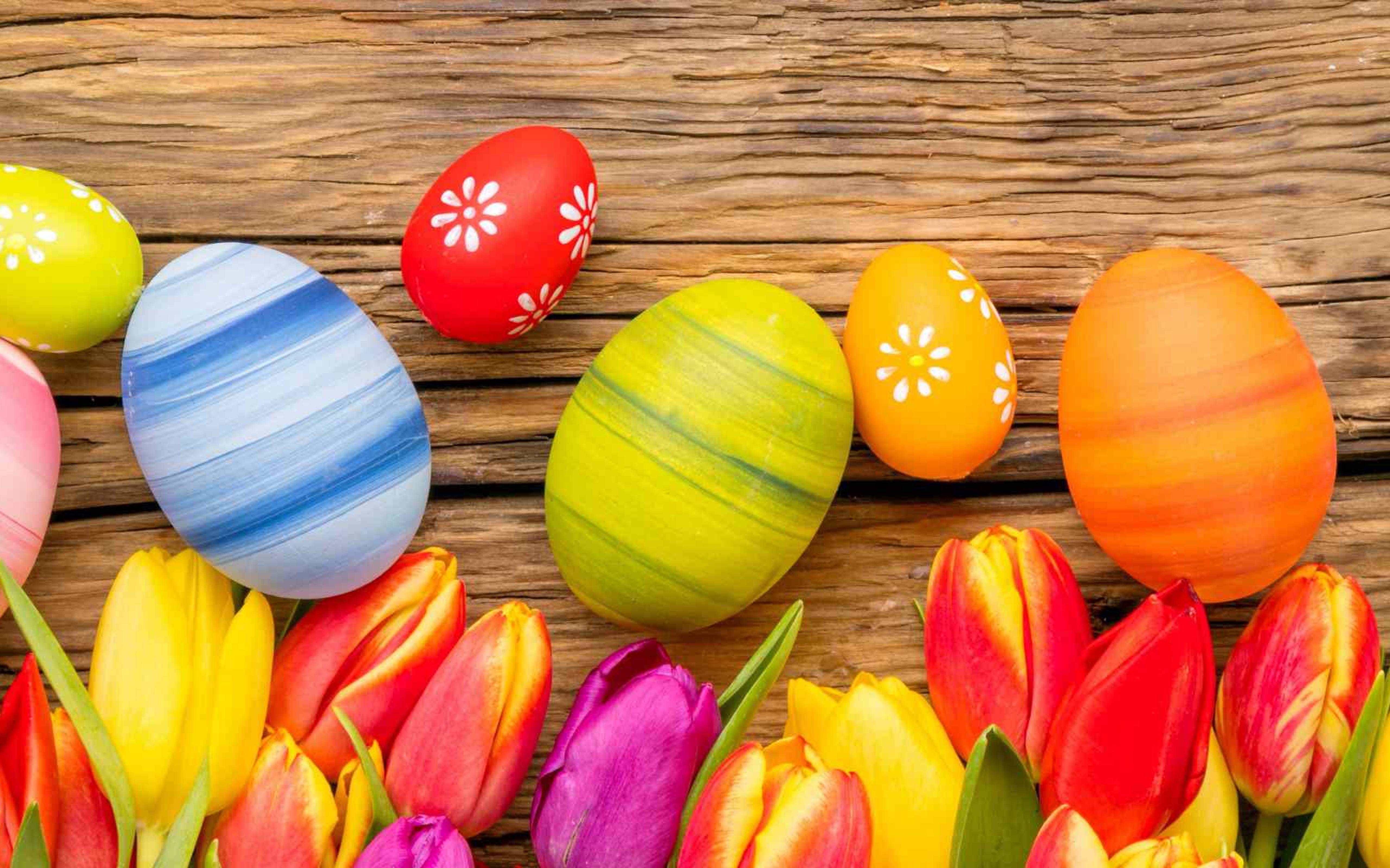 Wonderful Easter eggs - paint time HD wallpaper
