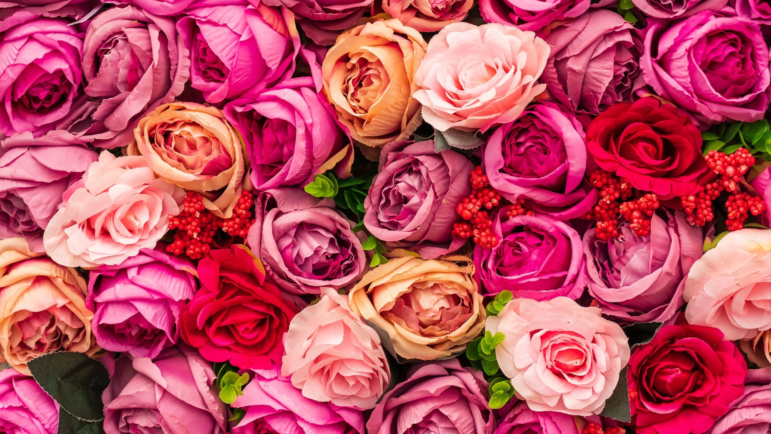 Background full of roses - HD spring perfume wallpaper
