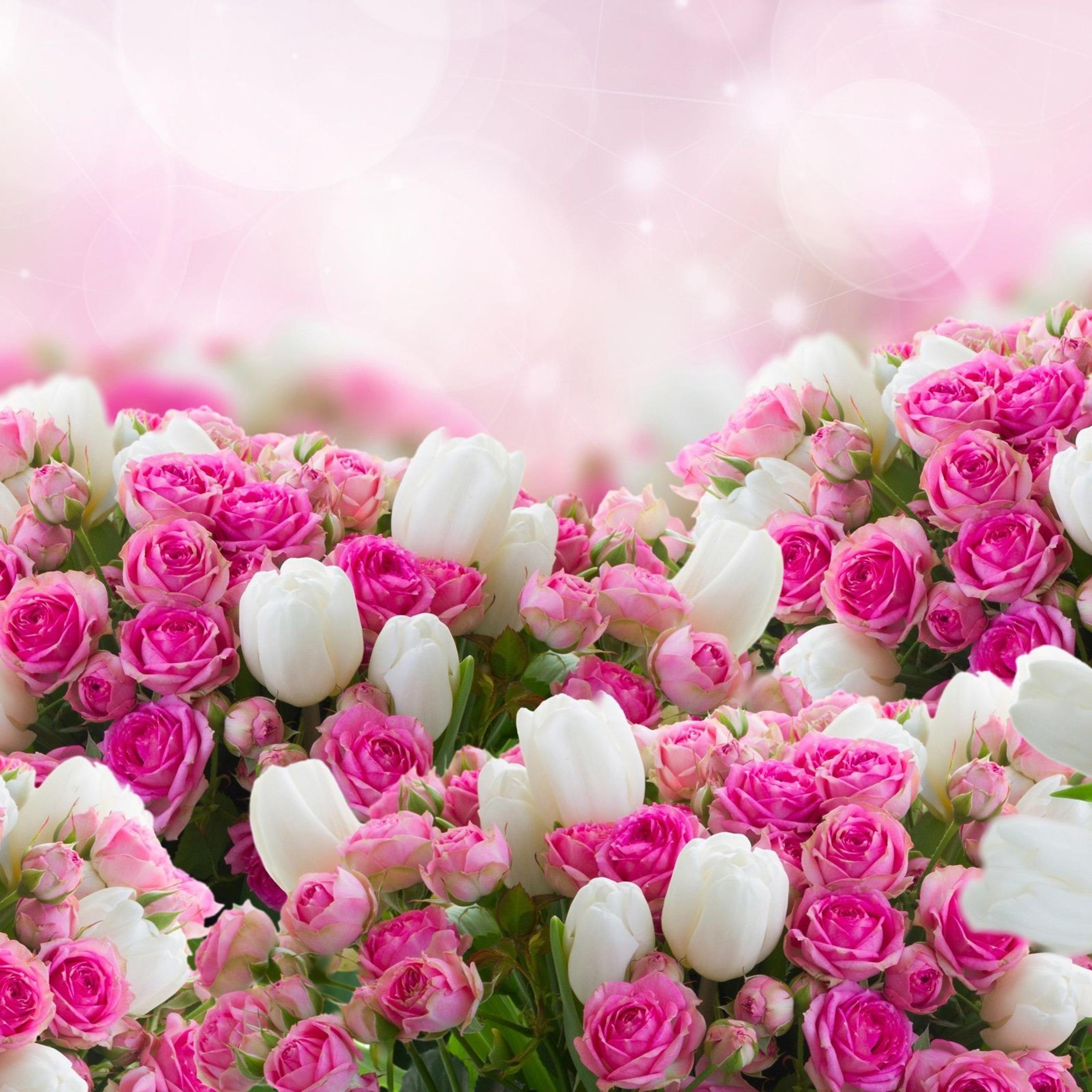 Wonderful photo frame - Pink roses and white tulips