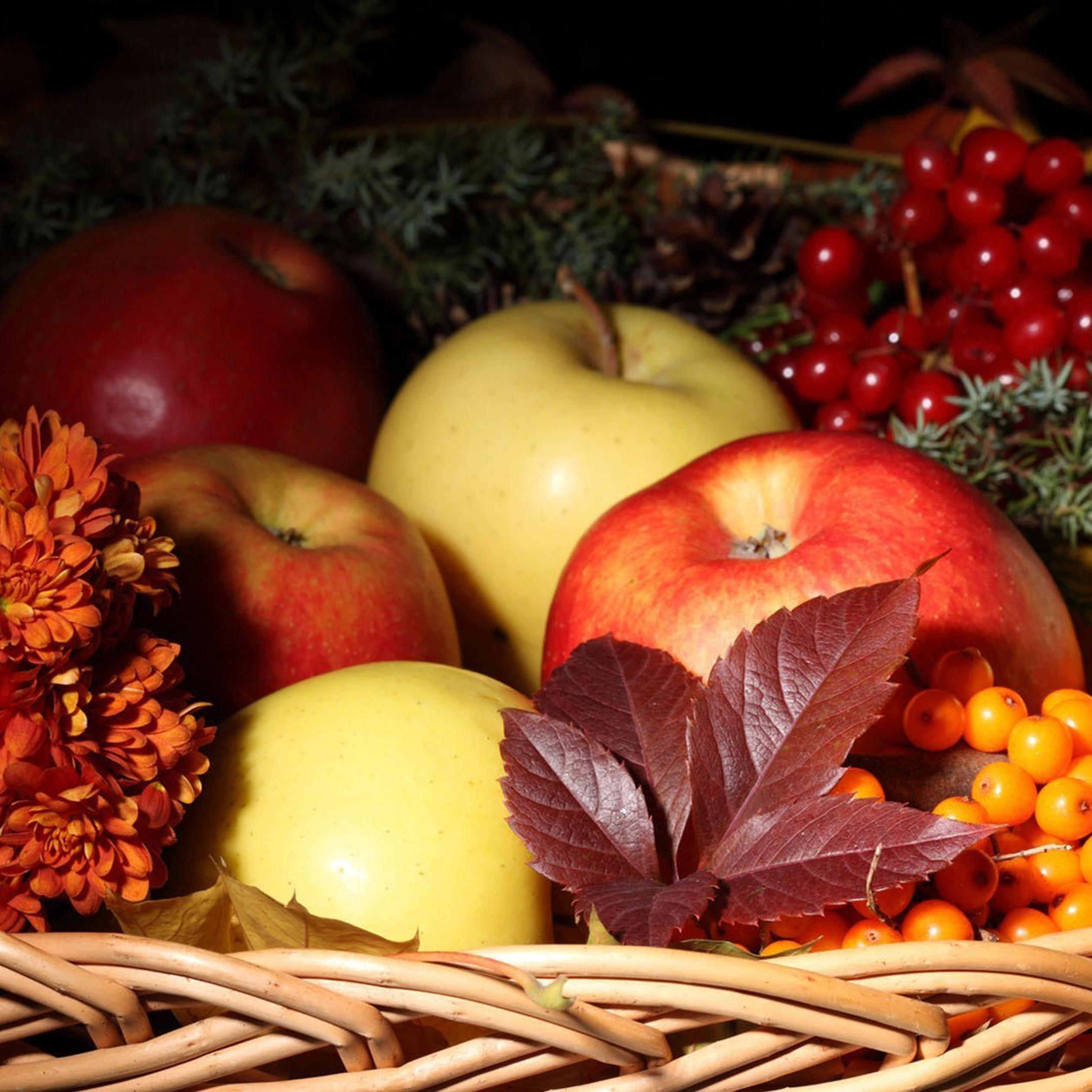Autumn basket full with fruits - HD wallpaper