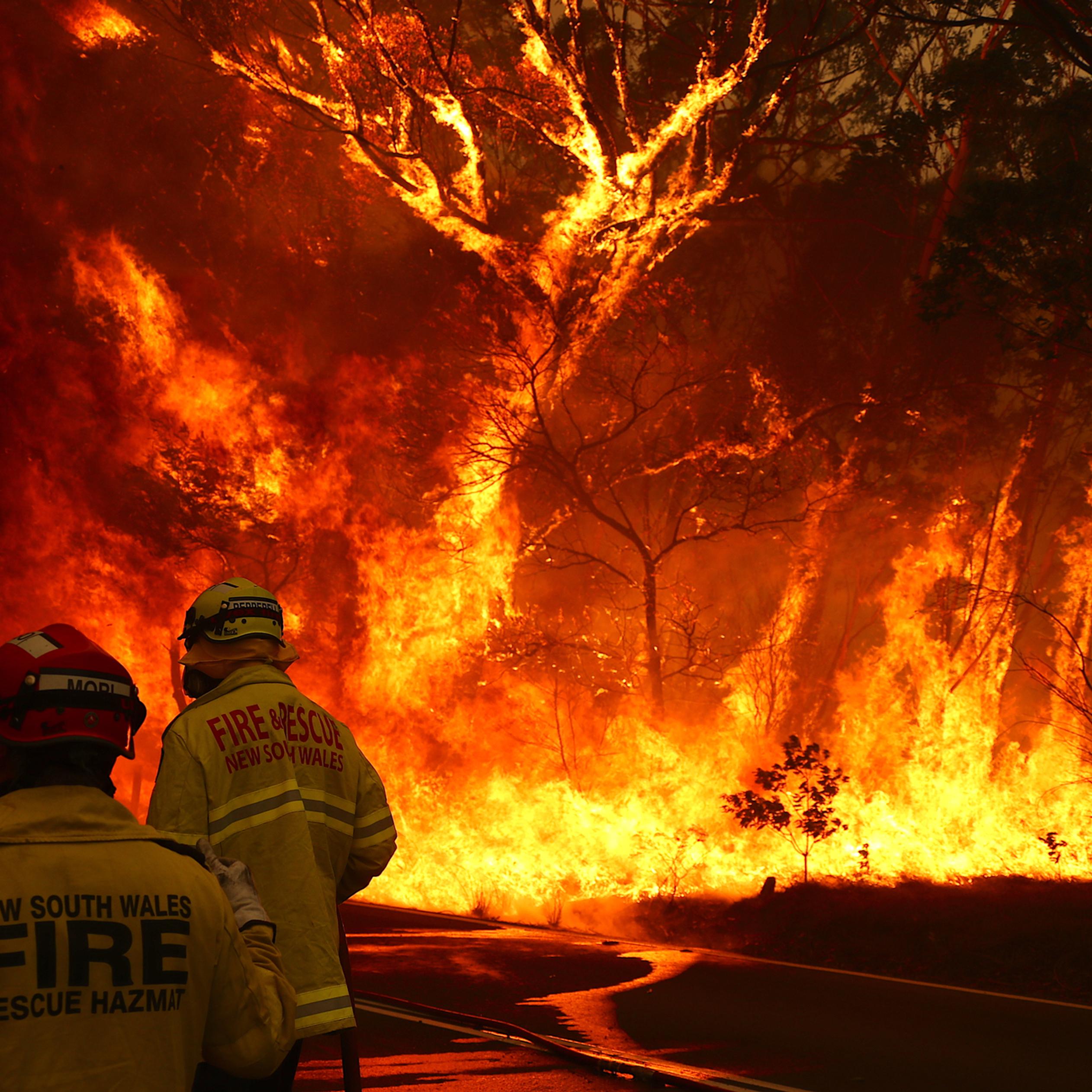 Firemen Helps Australia From Fire Hd Wallpaper