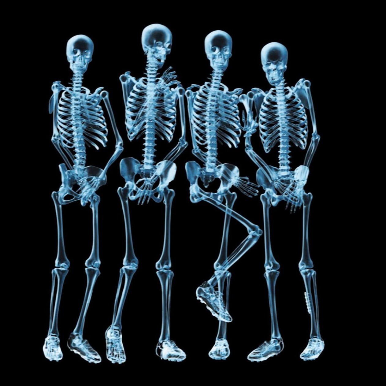 Funny skeletons naked - HD wallpaper