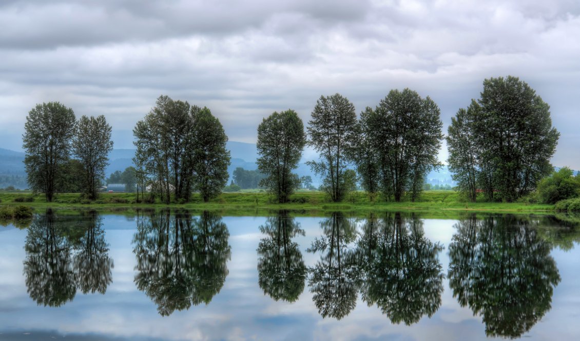 Download Wallpaper Nature mirrored in water