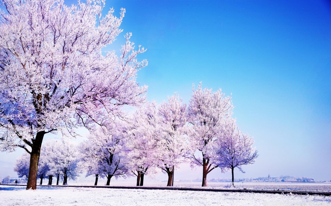 Download Wallpaper Winter, snow on the field and blue sky