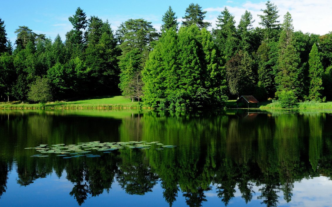 Download Wallpaper Lake like a mirror and trees around