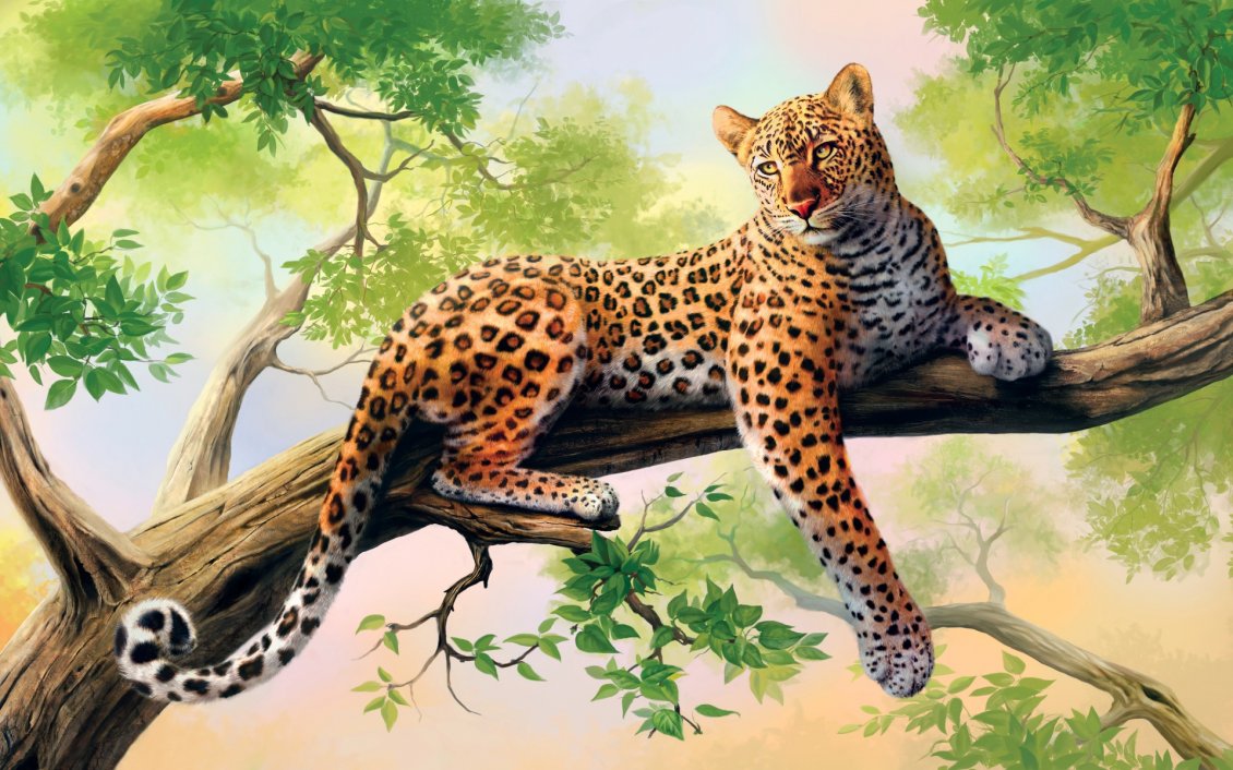 Download Wallpaper Leopard looks jungle from a tree